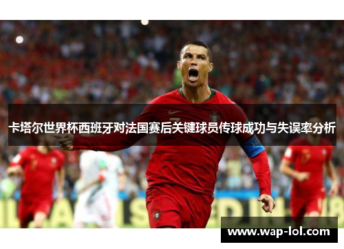 卡塔尔世界杯西班牙对法国赛后关键球员传球成功与失误率分析