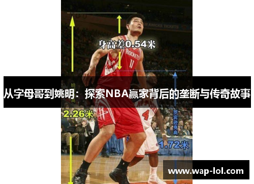 从字母哥到姚明：探索NBA赢家背后的垄断与传奇故事